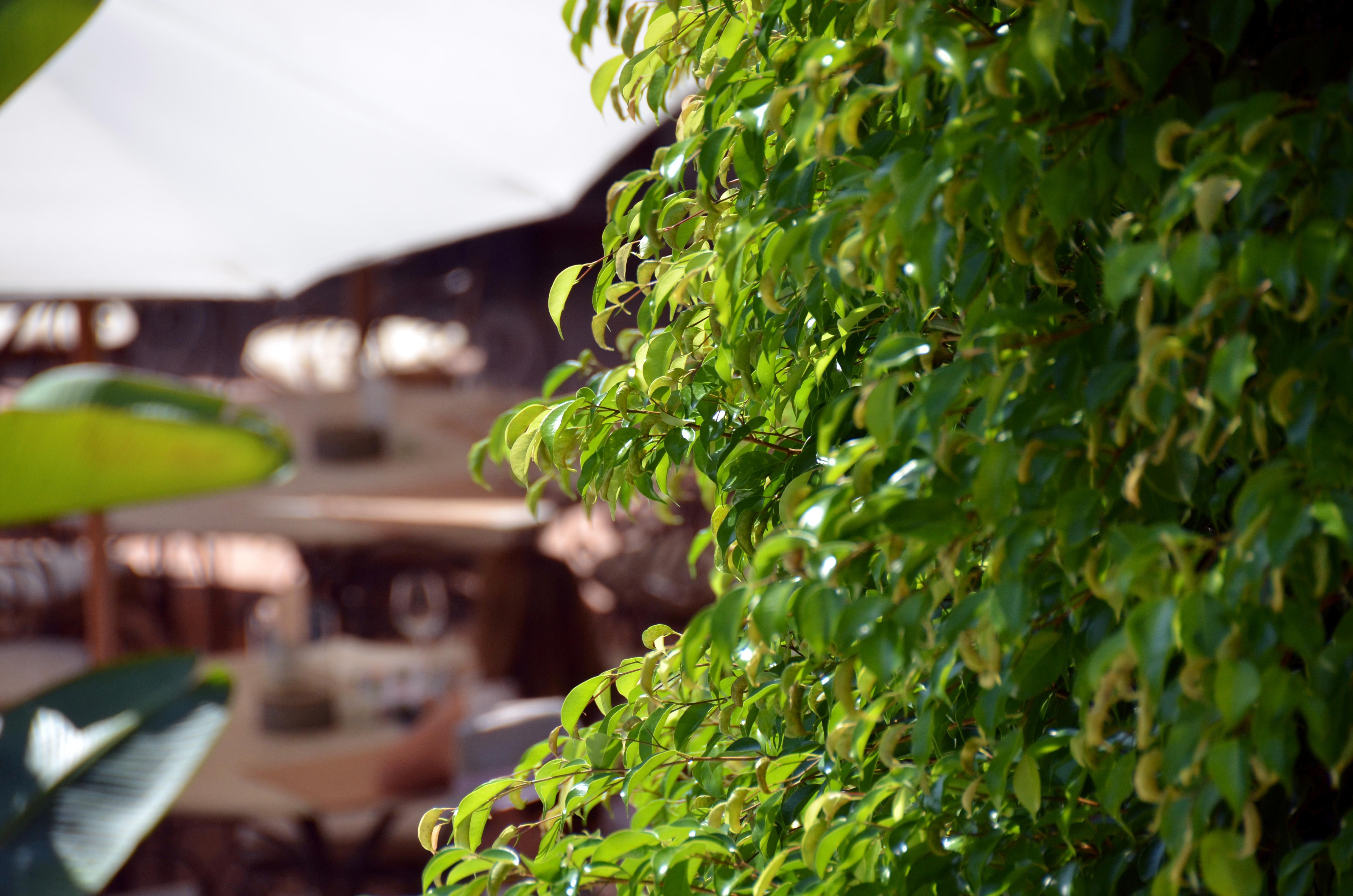 Swiss Moraira Hotel & Spa - Designed For Adults ภายนอก รูปภาพ