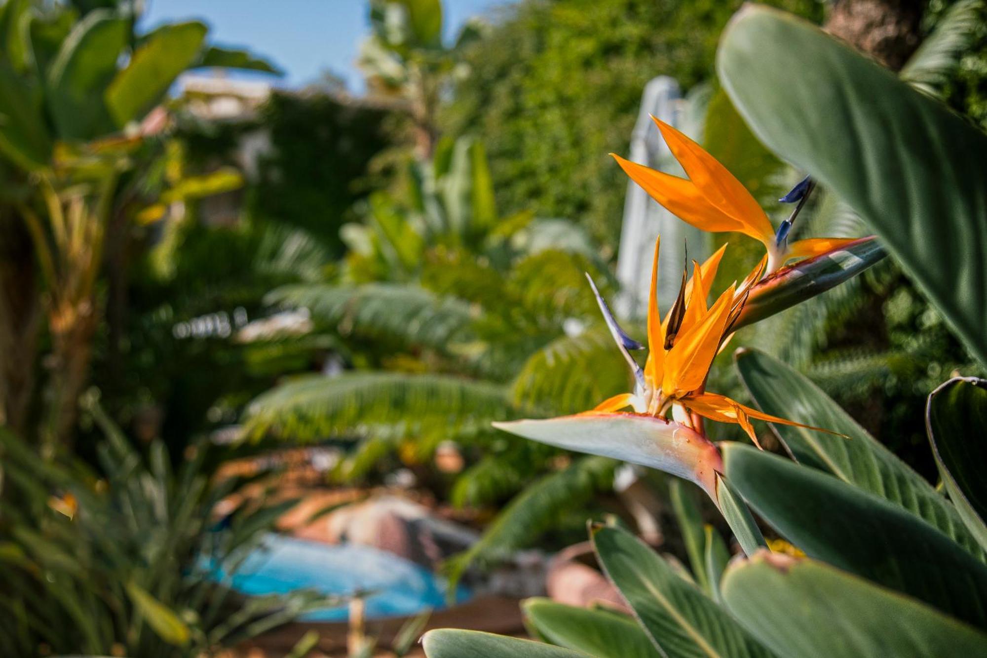 Swiss Moraira Hotel & Spa - Designed For Adults ภายนอก รูปภาพ